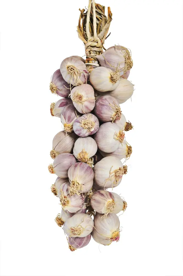 Trenza / Ristra Tradicional (15 Cabezas)