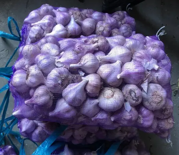 Malla / Bulto Mayorista de Ajo (10 kg)